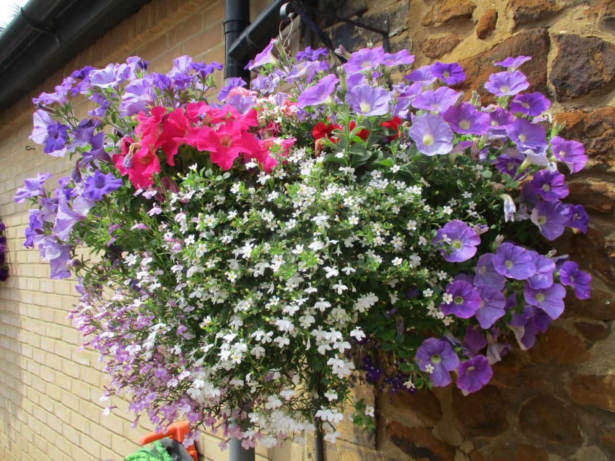 Gate Lodge Guest House Hunstanton Εξωτερικό φωτογραφία